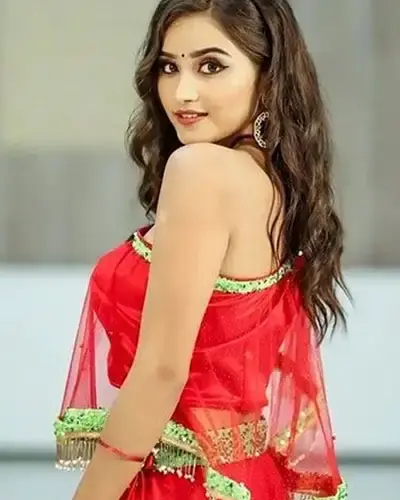 Escort In Narmadapuram